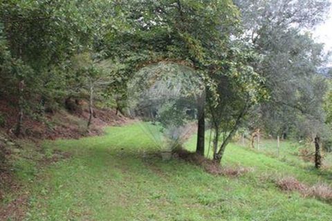 Helårsgrund i Chorense e Monte, Braga, Chorense e Monte - € 50.000 | Ref: 123331056-1019 - foto 4