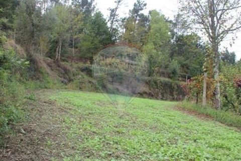 Helårsgrund i Chorense e Monte, Braga, Chorense e Monte - € 50.000 | Ref: 123331056-1019 - foto 3