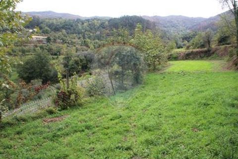 Helårsgrund i Chorense e Monte, Braga, Chorense e Monte - € 50.000 | Ref: 123331056-1019 - foto 2