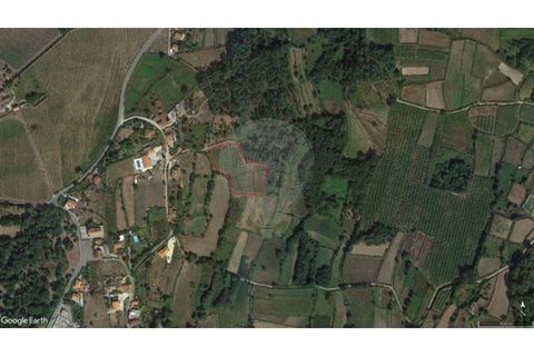 Helårsgrund i Valenca, Viana do Castelo, Valenca - € 66.000 | Ref: 123331212-1 - foto 3