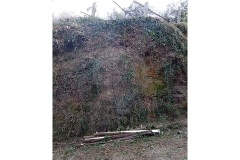 Helårsgrund i Valenca, Viana do Castelo, Valenca - € 19.000 | Ref: 123331212-56 - foto 4