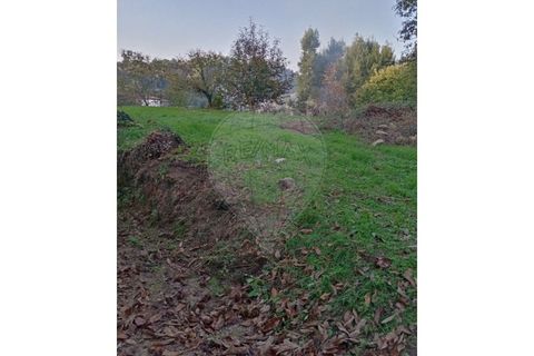 Helårsgrund i Valenca, Viana do Castelo, Valenca - € 19.000 | Ref: 123331212-56 - foto 9