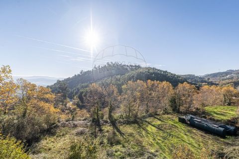 Villa a Celorico de Basto, Braga, Celorico de Basto - € 299.000 | Ref: 126221008-388 - foto 35