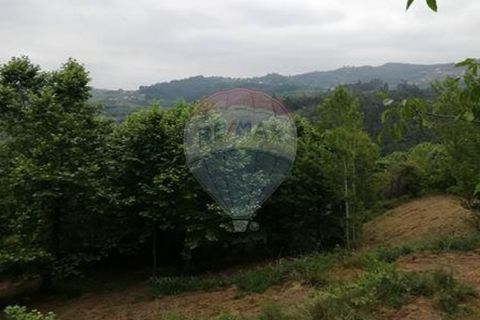 Terra a Alvite e Passos, Braga, Alvite e Passos - € 80.000 | Ref: 121751324-174 - foto 2