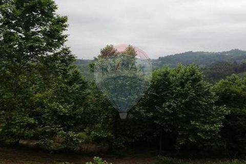 Terra a Alvite e Passos, Braga, Alvite e Passos - € 80.000 | Ref: 121751324-174 - foto 3