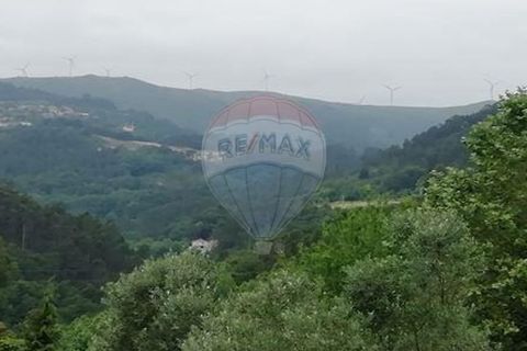 Terra a Alvite e Passos, Braga, Alvite e Passos - € 80.000 | Ref: 121751324-174 - foto 4