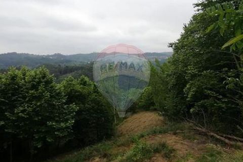 Terra a Alvite e Passos, Braga, Alvite e Passos - € 80.000 | Ref: 121751324-174 - foto 7