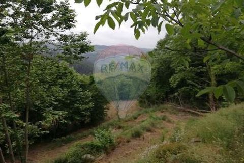 Terra a Alvite e Passos, Braga, Alvite e Passos - € 80.000 | Ref: 121751324-174 - foto 8