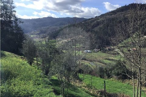 Villa i Cacarilhe e Infesta, Braga, Cacarilhe e Infesta - € 35.000 | Ref: 121751324-175 - foto 12