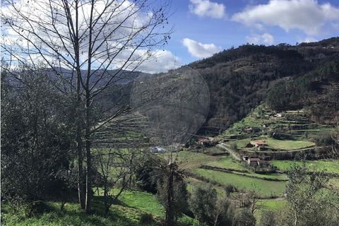 Villa i Cacarilhe e Infesta, Braga, Cacarilhe e Infesta - € 35.000 | Ref: 121751324-175 - foto 11