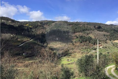 Villa i Cacarilhe e Infesta, Braga, Cacarilhe e Infesta - € 35.000 | Ref: 121751324-175 - foto 7