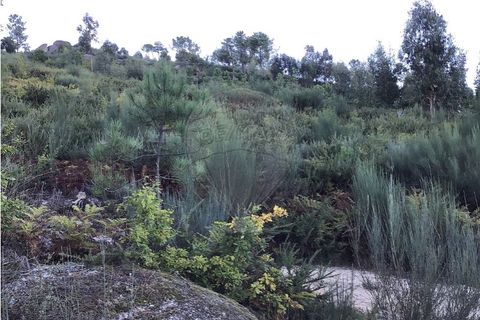 Helårsgrund i Celorico de Basto, Braga, Celorico de Basto - € 36.000 | Ref: 121751324-186 - foto 6
