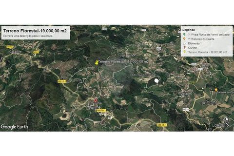 Helårsgrund i Celorico de Basto, Braga, Celorico de Basto - € 36.000 | Ref: 121751324-186 - foto 9