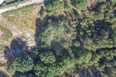 Helårsgrund i Regilde, Porto, Regilde - € 180.000 | Ref: 121751324-190 - foto 9