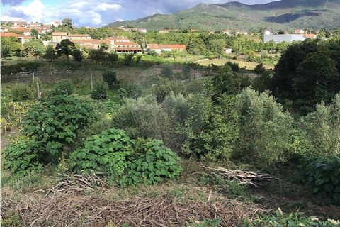 Terra a Cavez, Braga, Cavez - € 150.000 | Ref: 121751324-191 - foto 2