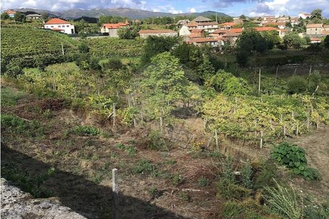 Terra a Cavez, Braga, Cavez - € 150.000 | Ref: 121751324-191 - foto 3