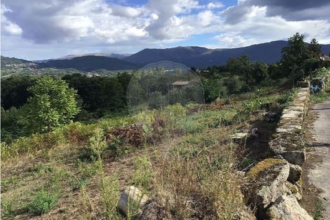 Terra a Cavez, Braga, Cavez - € 150.000 | Ref: 121751324-191 - foto 4