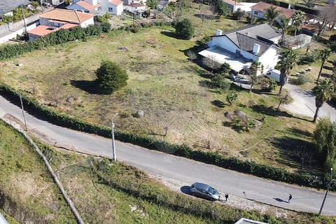 Terra a Brito, Braga, Brito - € 213.500 | Ref: 121751249-23 - foto 15