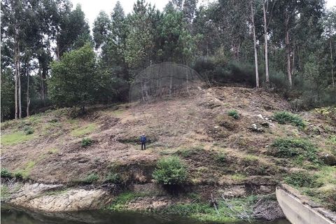 Helårsgrund i Celorico de Basto, Braga, Celorico de Basto - € 39.000 | Ref: 121751324-199 - foto 13