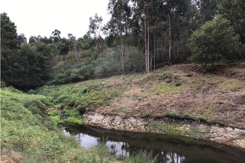 Helårsgrund i Celorico de Basto, Braga, Celorico de Basto - € 39.000 | Ref: 121751324-199 - foto 12
