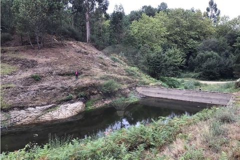 Helårsgrund i Celorico de Basto, Braga, Celorico de Basto - € 39.000 | Ref: 121751324-199 - foto 11