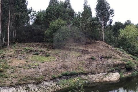 Helårsgrund i Celorico de Basto, Braga, Celorico de Basto - € 39.000 | Ref: 121751324-199 - foto 10