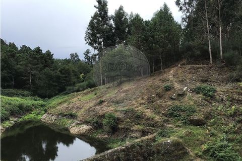 Helårsgrund i Celorico de Basto, Braga, Celorico de Basto - € 39.000 | Ref: 121751324-199 - foto 5