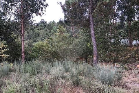 Helårsgrund i Celorico de Basto, Braga, Celorico de Basto - € 39.000 | Ref: 121751324-199 - foto 2