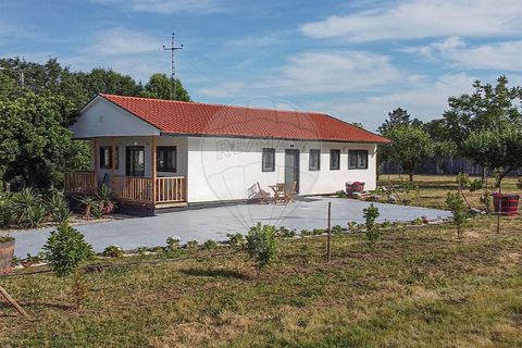 Villa a Briteiros, Braga, Briteiros - € 2.700.000 | Ref: 121751324-224 - foto 36