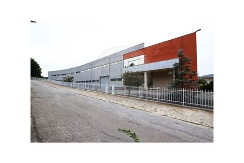 Erhvervsejendom i Ronfe, Braga, Ronfe - € 980.000 | Ref: 121751324-14 - foto 3