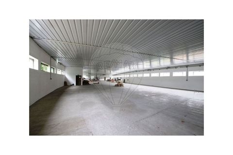 Erhvervsejendom i Ronfe, Braga, Ronfe - € 980.000 | Ref: 121751324-14 - foto 10