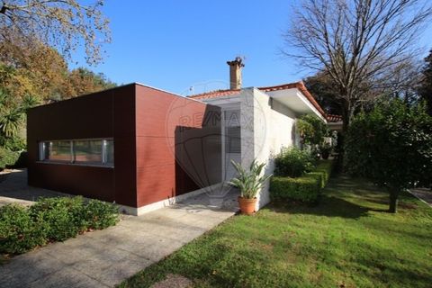 Villa i Airao (Santa Maria), Braga, Airao (Santa Maria) - € 1.100.000 | Ref: 121751324-19 - foto 5