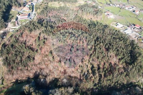 Terra a Fafe, Braga, Fafe - € 47.500 | Ref: 121751324-50 - foto 2