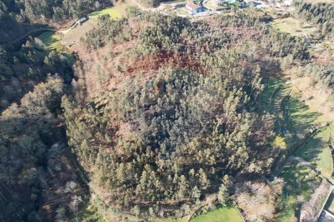 Terra a Fafe, Braga, Fafe - € 47.500 | Ref: 121751324-50 - foto 3