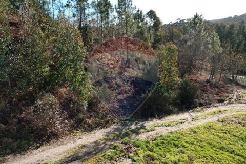 Terra a Fafe, Braga, Fafe - € 47.500 | Ref: 121751324-50 - foto 5