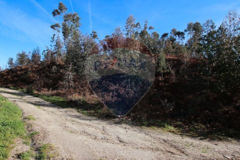 Terra a Fafe, Braga, Fafe - € 47.500 | Ref: 121751324-50 - foto 6