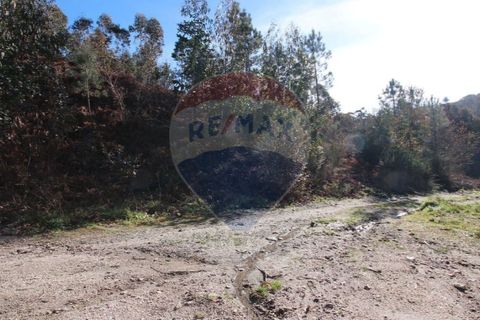Terra a Fafe, Braga, Fafe - € 47.500 | Ref: 121751324-50 - foto 7