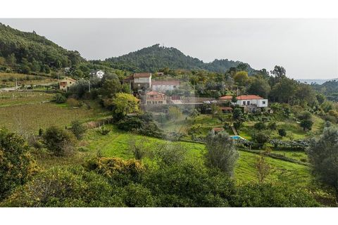 Villa i Viana do Castelo, Viana do Castelo, Viana do Castelo - € 370.000 | Ref: 123731008-407 - foto 33