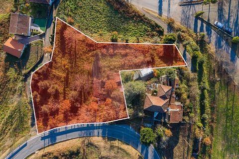 Villa a Celorico de Basto, Braga, Celorico de Basto - € 37.500 | Ref: 126221008-172 - foto 8