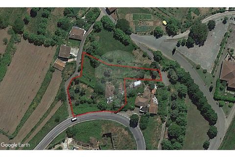Villa a Celorico de Basto, Braga, Celorico de Basto - € 37.500 | Ref: 126221008-172 - foto 9