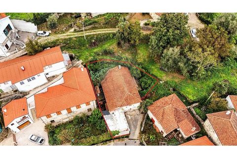 Villa i Cabeceiras de Basto, Braga, Cabeceiras de Basto - € 59.000 | Ref: 126311008-9 - foto 4