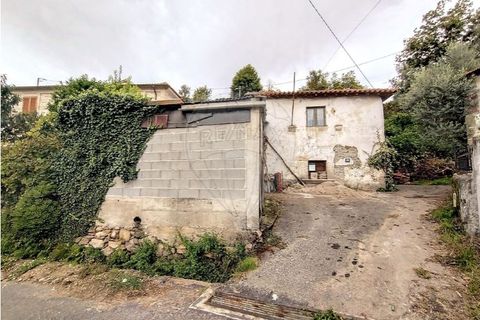 Villa i Cabeceiras de Basto, Braga, Cabeceiras de Basto - € 59.000 | Ref: 126311008-9 - foto 5