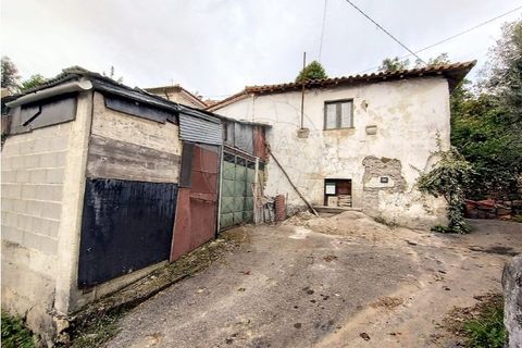 Villa i Cabeceiras de Basto, Braga, Cabeceiras de Basto - € 59.000 | Ref: 126311008-9 - foto 6