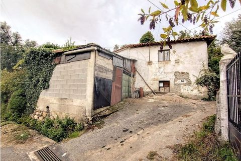 Villa i Cabeceiras de Basto, Braga, Cabeceiras de Basto - € 59.000 | Ref: 126311008-9 - foto 7