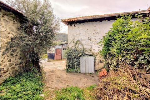 Villa i Cabeceiras de Basto, Braga, Cabeceiras de Basto - € 59.000 | Ref: 126311008-9 - foto 8