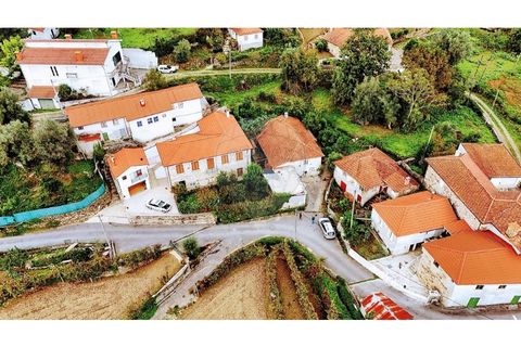 Villa i Cabeceiras de Basto, Braga, Cabeceiras de Basto - € 59.000 | Ref: 126311008-9 - foto 16