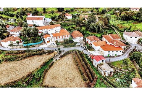 Villa i Cabeceiras de Basto, Braga, Cabeceiras de Basto - € 59.000 | Ref: 126311008-9 - foto 17