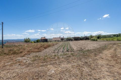 Villa i Travancas e Roriz, Vila Real, Travancas e Roriz - € 80.000 | Ref: 126381014-27 - foto 13