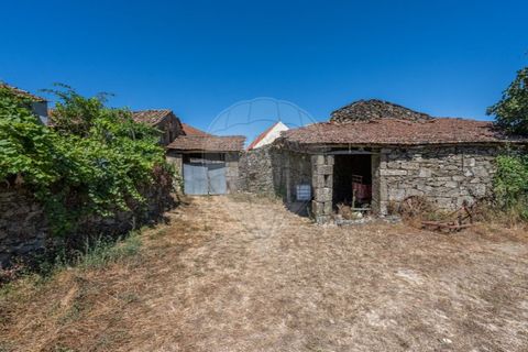 Villa i Travancas e Roriz, Vila Real, Travancas e Roriz - € 80.000 | Ref: 126381014-27 - foto 12
