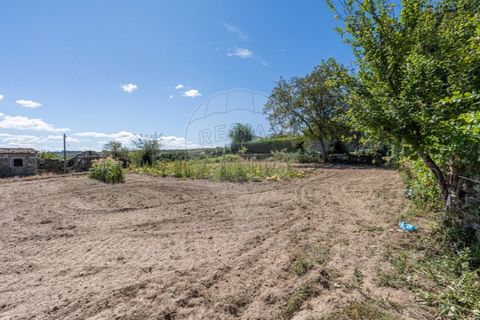 Villa i Travancas e Roriz, Vila Real, Travancas e Roriz - € 80.000 | Ref: 126381014-27 - foto 11